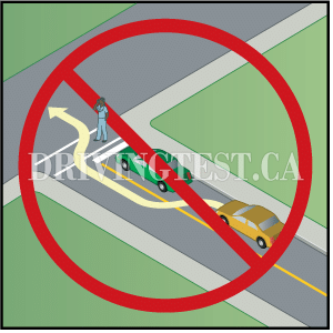 newfoundland-and-labrador car - If you see a vehicle stopped waiting for a pedestrian to cross at a crosswalk what should you do?