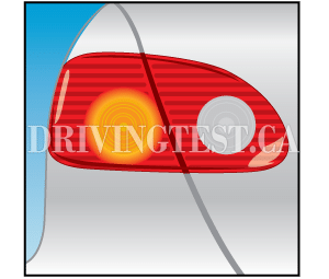 new-brunswick car - For what three reasons is it important to use your signals when you are turning?