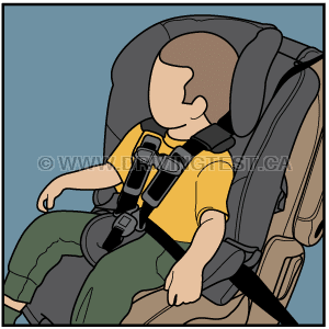 Test 1 - At what weight do infants no longer need to be restrained in a front facing car seat?