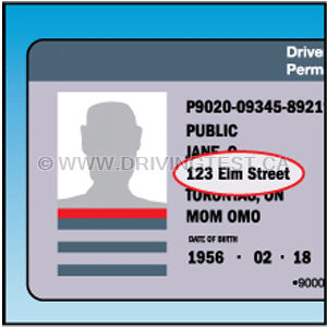 How long do you have to have an endorsement placed on your license if you change your name or address to something different? - How long do you have to have an endorsement placed on your license if you change your name or address to something different?