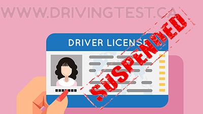 manitoba car - If someone under the Manitoba Code of Conduct is convicted of a driving-related offense, when will their license suspension begin?