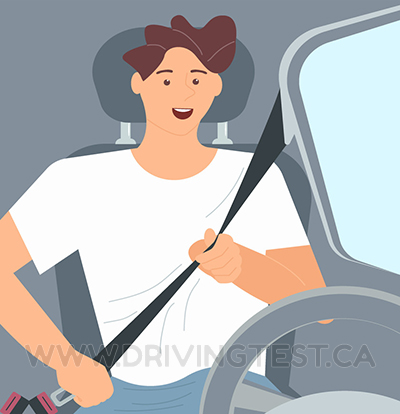 saskatchewan car - By how much does wearing a seatbelt decrease chances of fatality or serious injury in a collision?