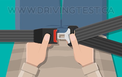 What area of your body should the lap portion of your seatbelt fit over? - What area of your body should the lap portion of your seatbelt fit over?